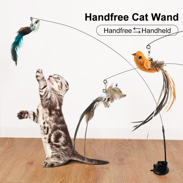 Hand Free Cat Toy